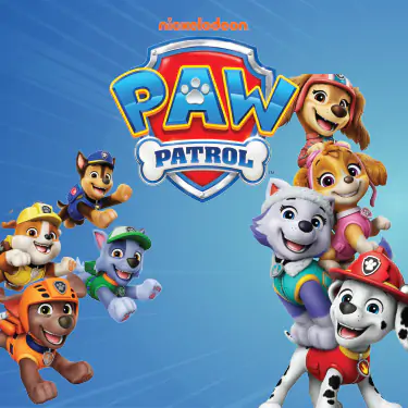 Paw Patrol Party Set